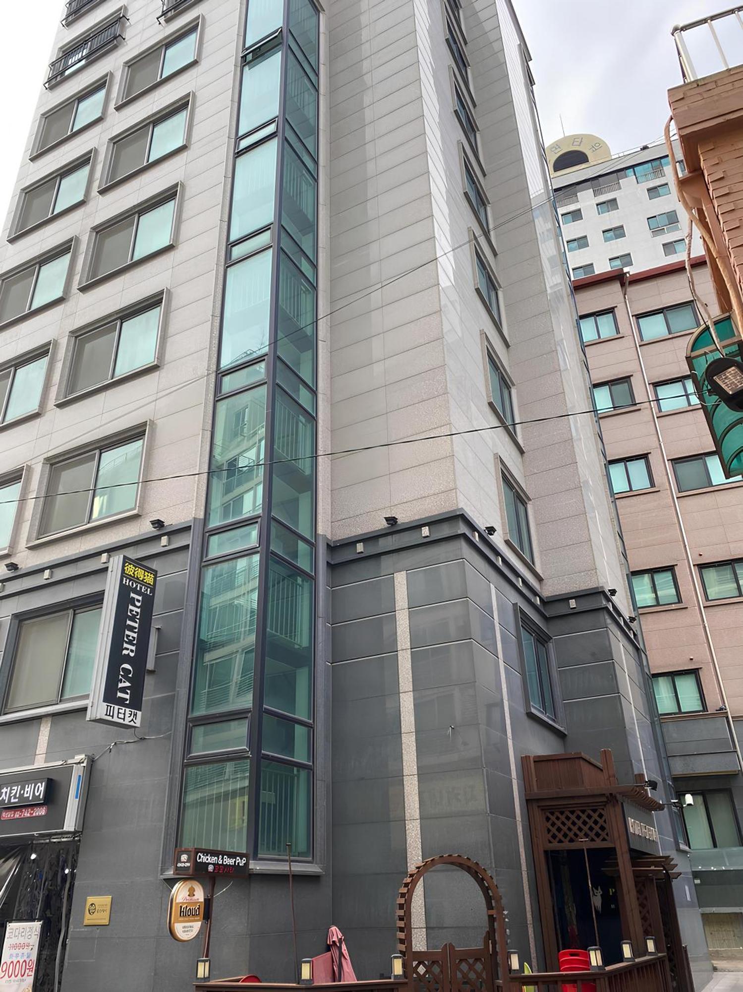 Ssh Ikseon Peter Cat Hostel Seoul Ngoại thất bức ảnh