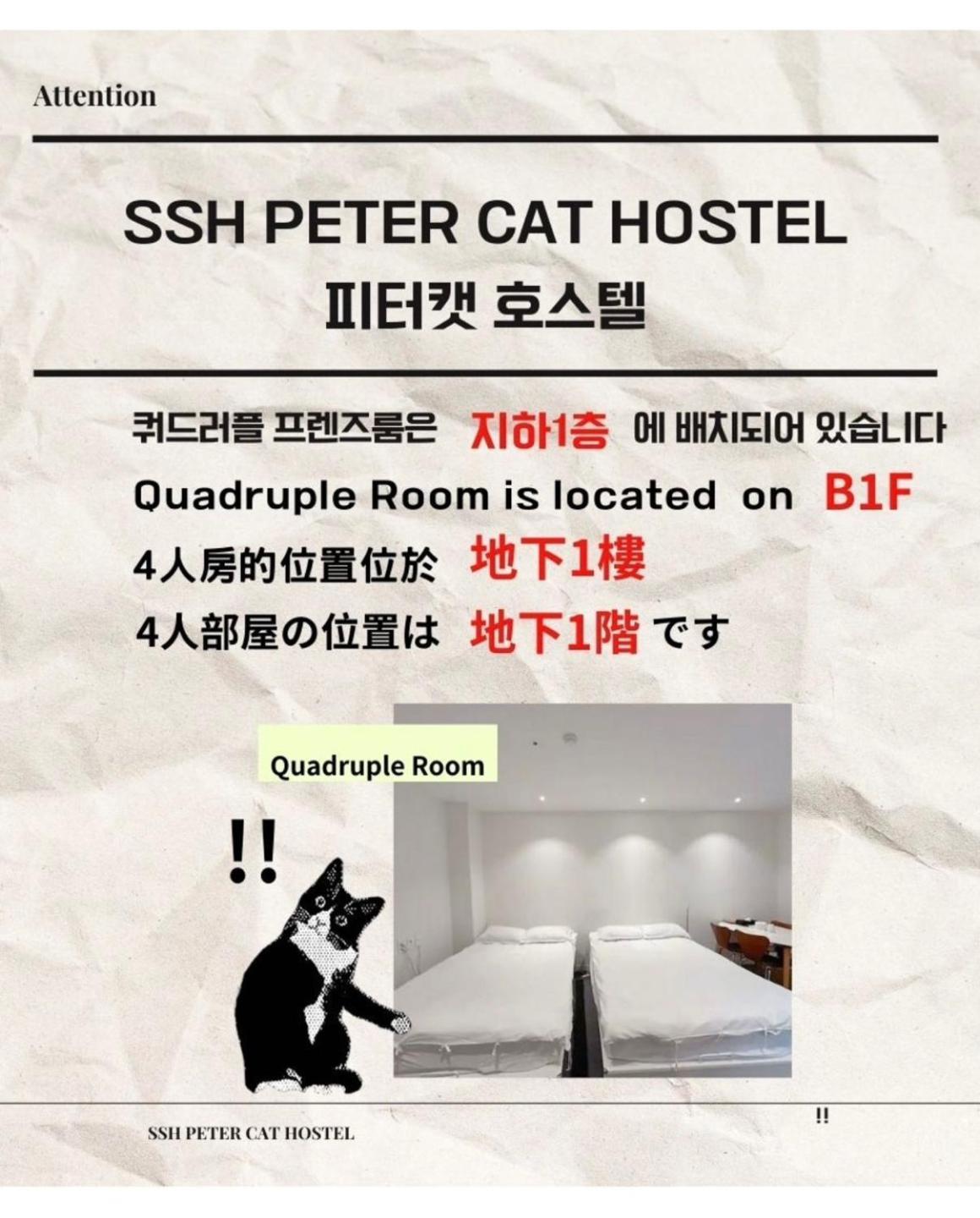 Ssh Ikseon Peter Cat Hostel Seoul Ngoại thất bức ảnh